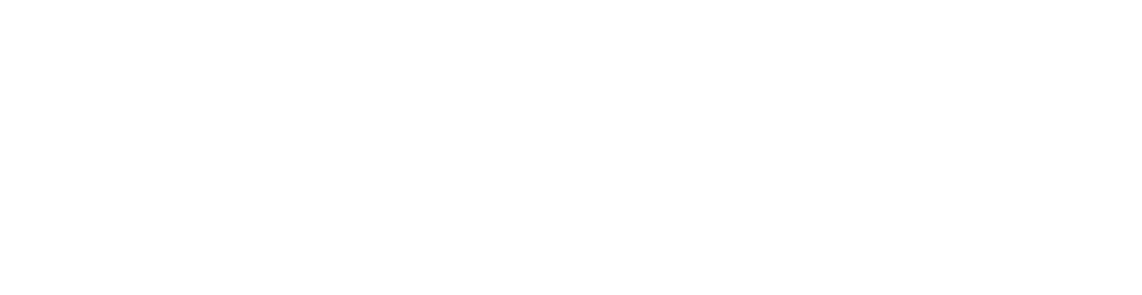 logo-bouillon-du-bassin-blanc